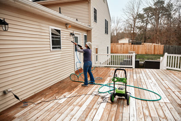 Best Exterior Home Cleaning  in Massanutten, VA